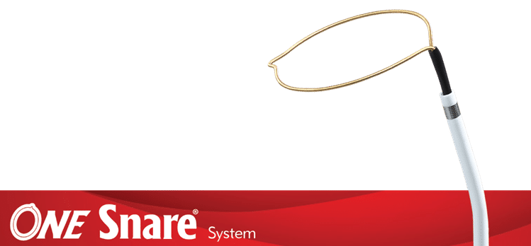ONE Snare System - Providing Options for LV Lead Delivery Within Challenging Anatomy - Merit Medical