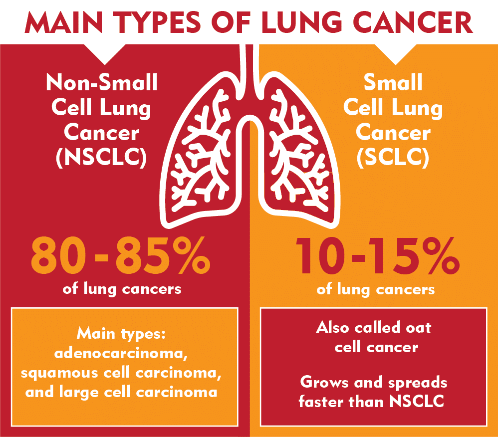 Main Types of Lung Cancer - Non-Small Cell and Small Cell Lung Cancer - Merit Medical