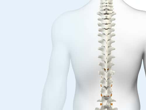 Think Spine Vertebral Compression Fracture Merit Physician Course