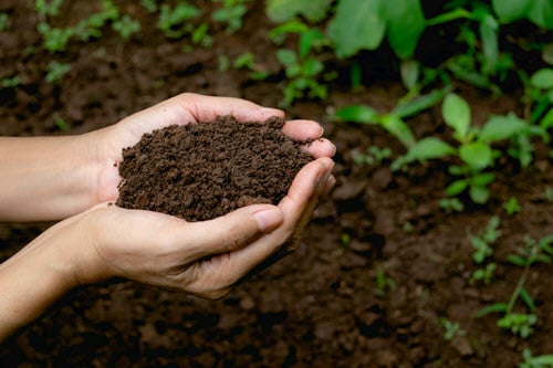 Feeding the Soil with Green Waste