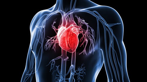 Heart Attack - Men's Health Month